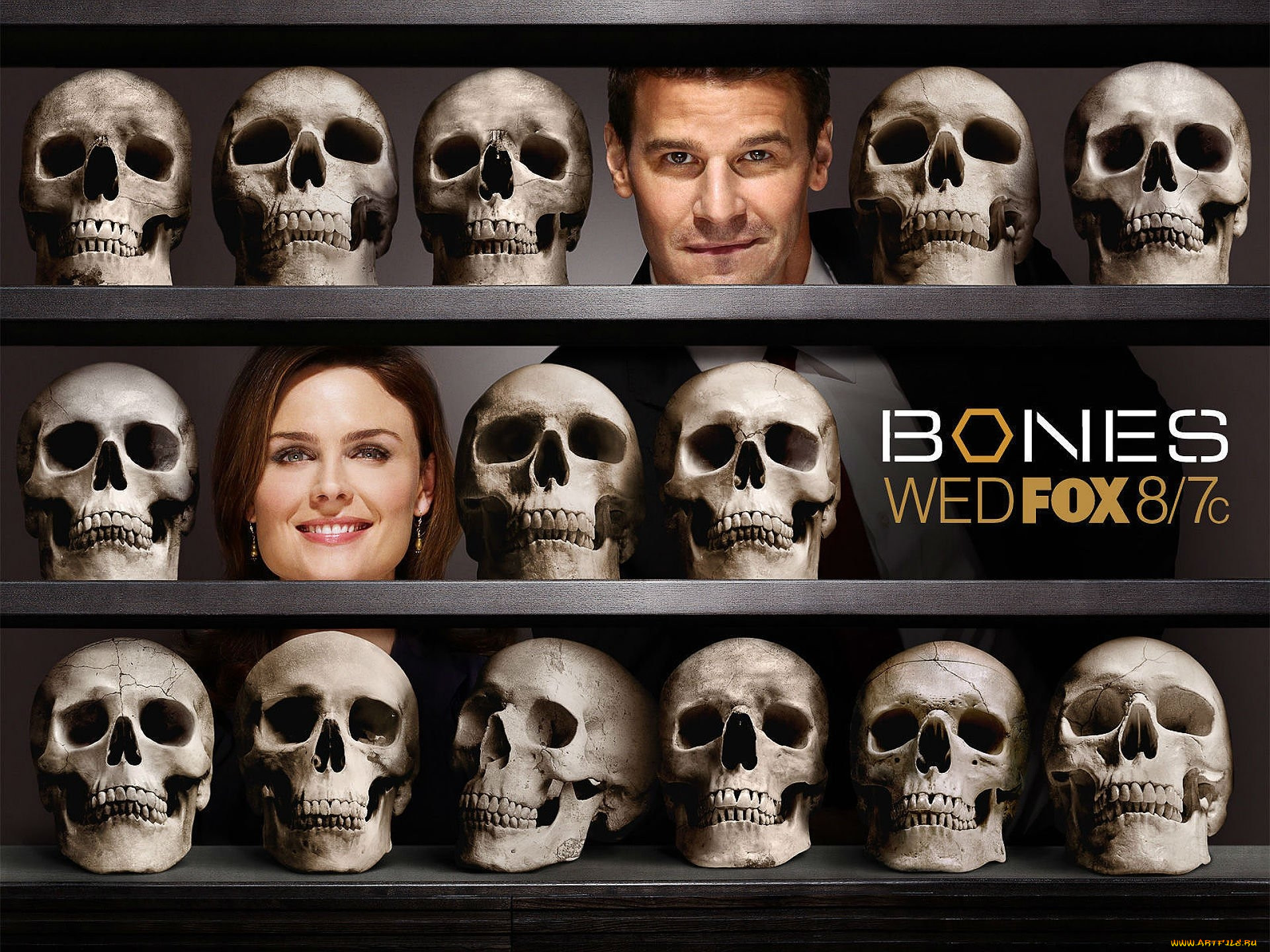 Le bones. Кости черепа.